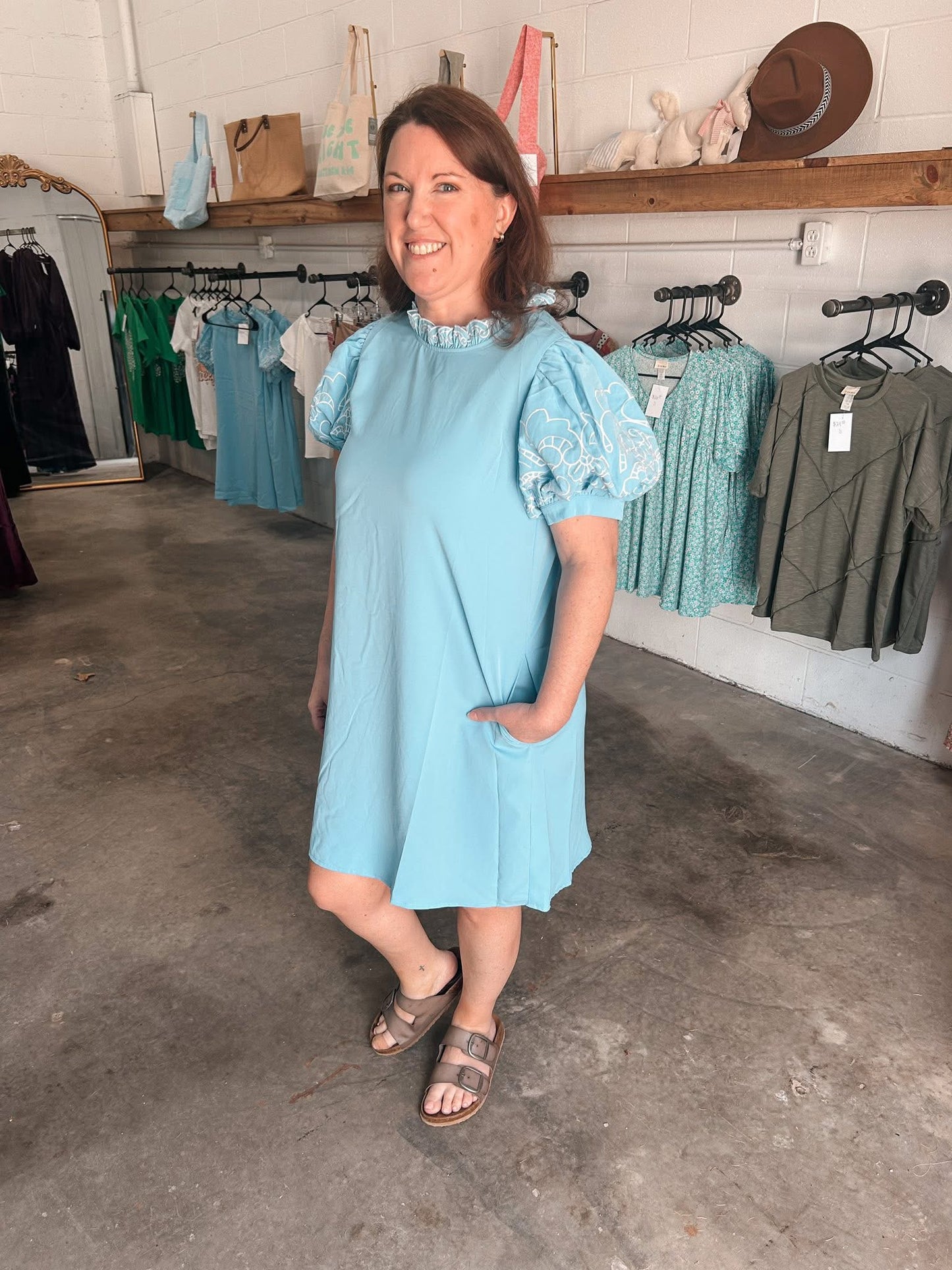 Embroidered Sleeve Dress