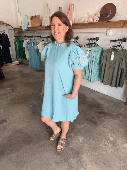 Embroidered Sleeve Dress